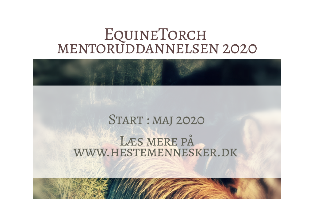 Overfladisk vej hjælpe 15. Maj 2020 EquineTorch Mentor Uddannelsen - Hestemennesker.dk